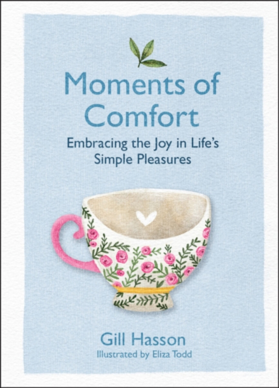 Moments of Comfort - Gill Hassonová