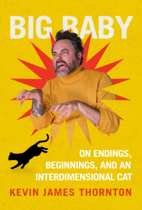 Transworld Publishers Ltd Big Baby - Thornton, Kevin James
