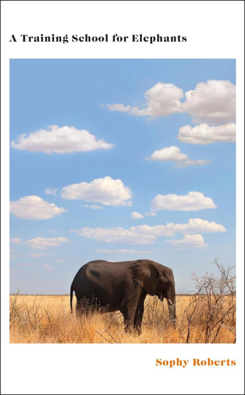 A Training School for Elephants - Sophy Roberts - kniha z kategorie Přírodní vědy a technika