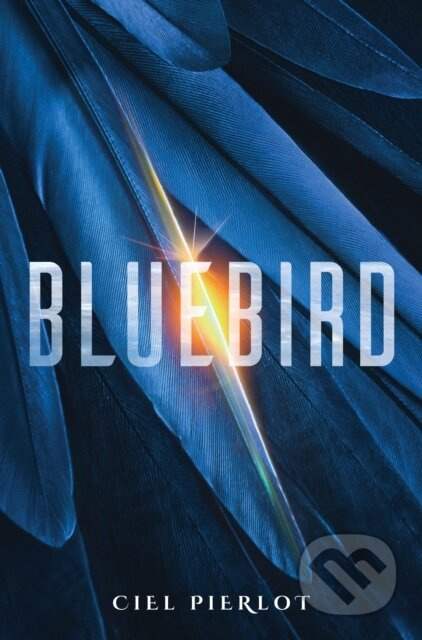Bluebird - Ciel Pierlot - kniha z kategorie Thrillery