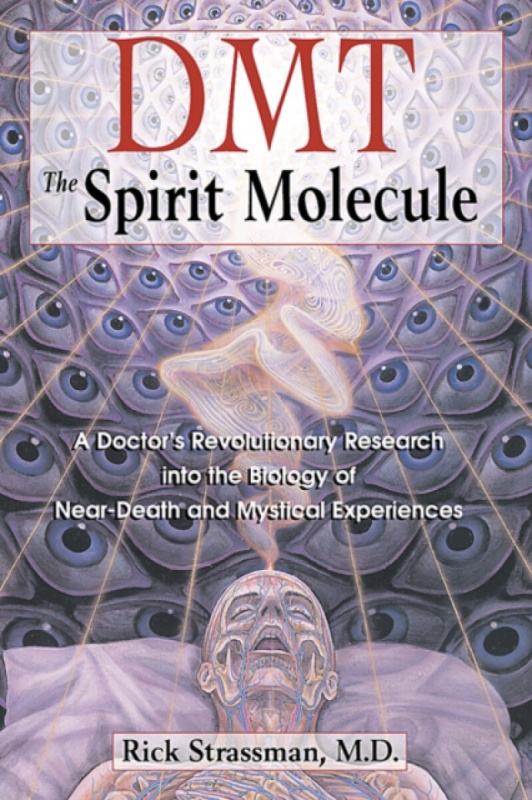 Inner Traditions Bear and Company DMT: The Spirit Molecule - Strassman, Rick, MD