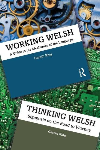 Working/Thinking Welsh, Two Volume Set Taylor & Francis Ltd
