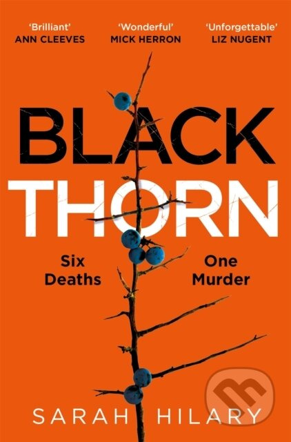 Black Thorn (A slow-burning, multi-layered mystery about families and their secrets and lies) - kniha z kategorie Detektivky, thrillery a horory