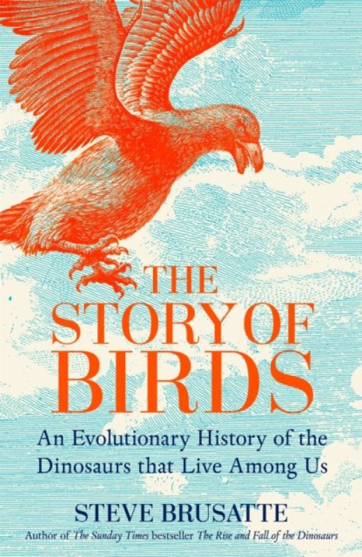 The Story of Birds (An Evolutionary History of the Dinosaurs That Live Among Us)