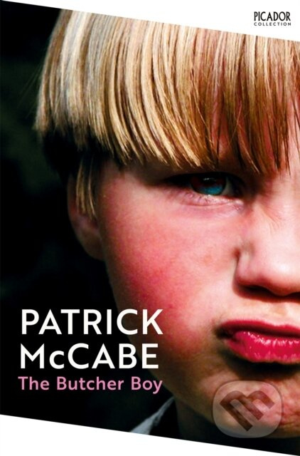 The Butcher Boy - Patrick Mccabe