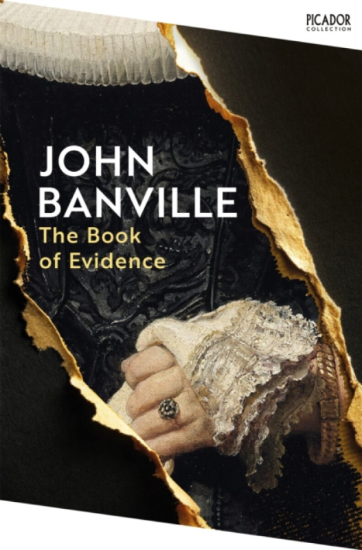 The Book of Evidence - John Banville