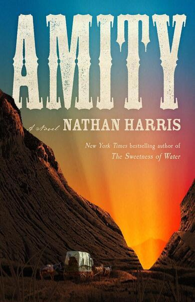 Amity (from the Booker-longlisted author of The Sweetness of Water) - kniha z kategorie Společenská beletrie