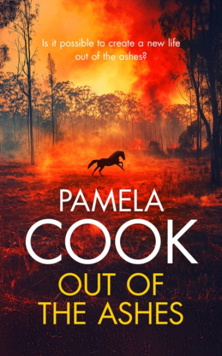 Vinci Books Out of the Ashes - Cook, Pamela