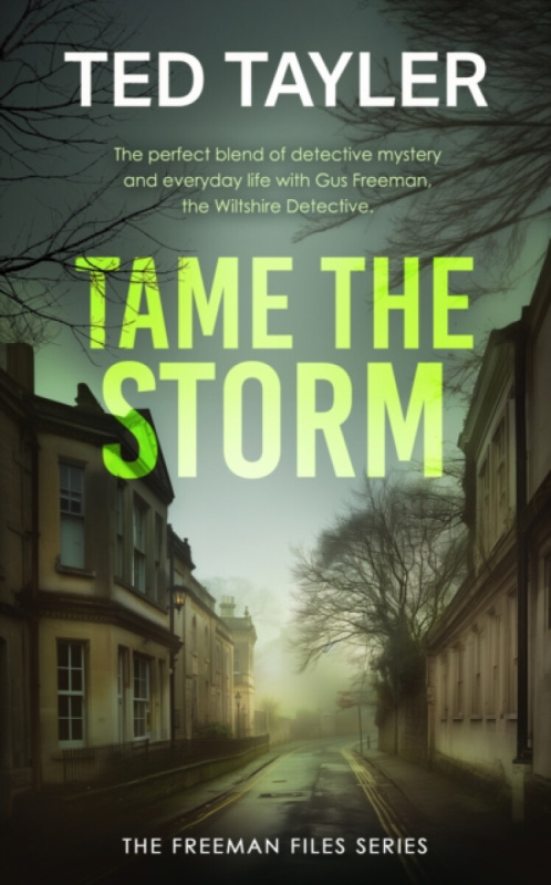 Tame The Storm (A Cold Case Murder Mystery Series) - Ted Tayler