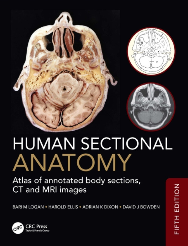 Human Sectional Anatomy CRC Press