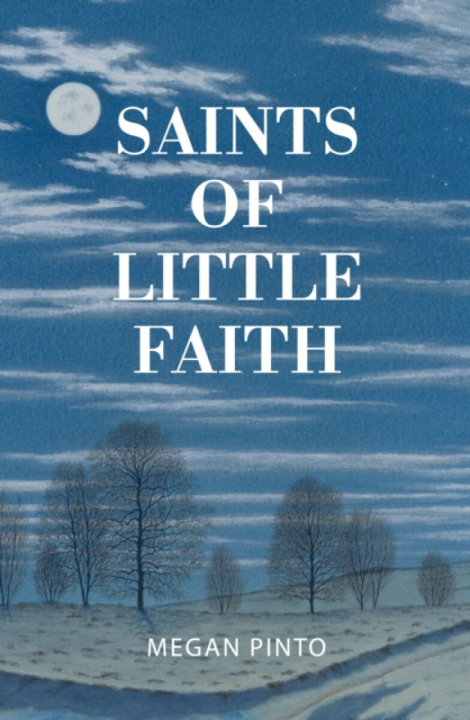 The 87 Press Saints of Little Faith - Pinto, Megan