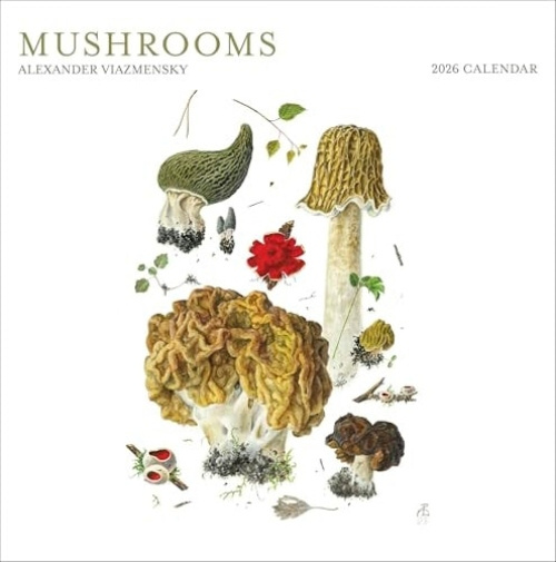Mushrooms: Alexander Viazmensky 2026 Wall Calendar Pomegranate