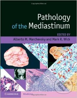Pathology of the Mediastinum - Alberto M. Marchevsky, Mark R. Wick - kniha z kategorie Odborné a naučné