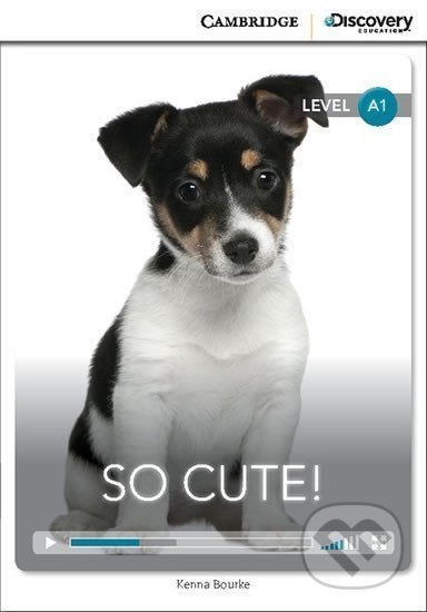 So Cute! Beginning Book with Online Access - Kenna Bourke - kniha z kategorie Jazykové učebnice a slovníky