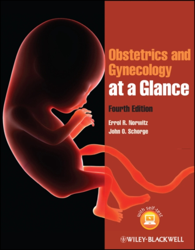 Obstetrics and Gynecology at a Glance 4e - Errol R.  Norwitz, John O.  Schorge