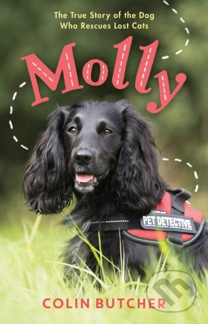 Molly: The True Story of the Dog Who Rescues Lost Cats - kniha z kategorie Pro děti