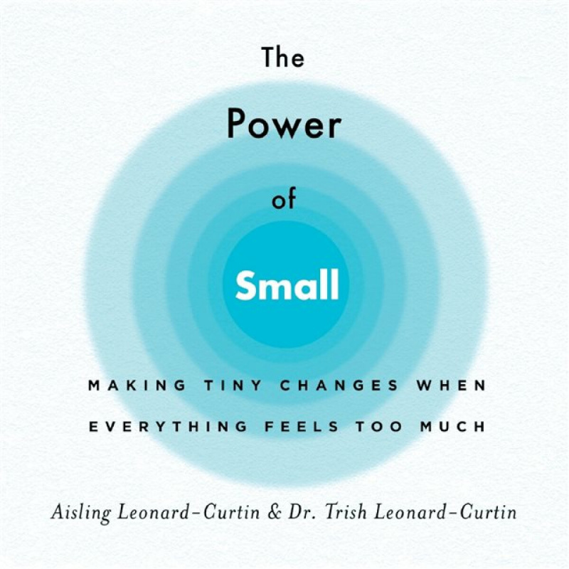 The Power of Small - Aisling Leonard-Curtin, Trish Leonard-Curtin