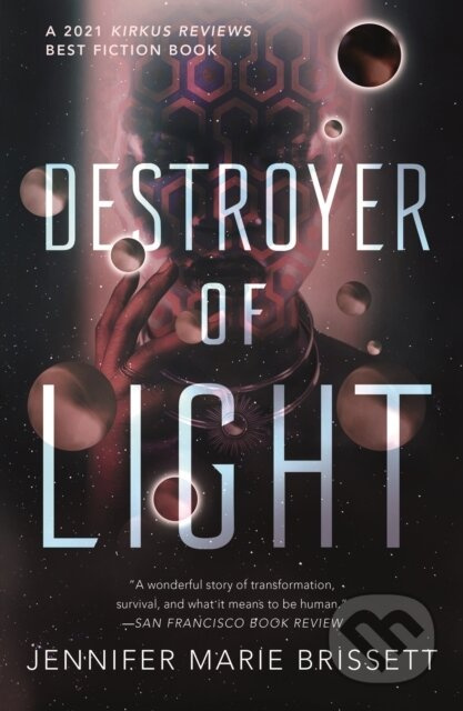 Destroyer of Light - Jennifer Marie Brissett