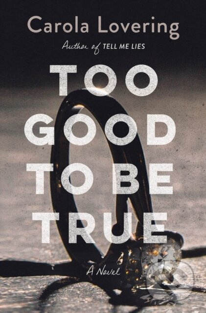 Too Good to Be True (A Novel) - Carola Lovering