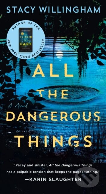 All the Dangerous Things (A Novel) - Stacy Willingham