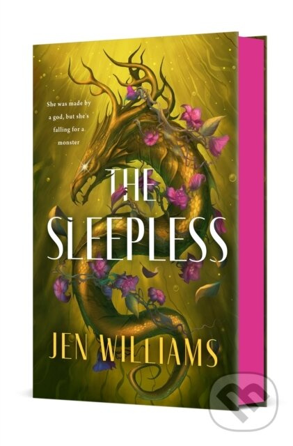 The Sleepless - Jen Williams - kniha z kategorie Pre deti a mládež
