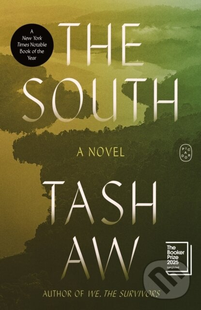 South (A Novel) - Tash Aw - kniha z kategorie Beletria
