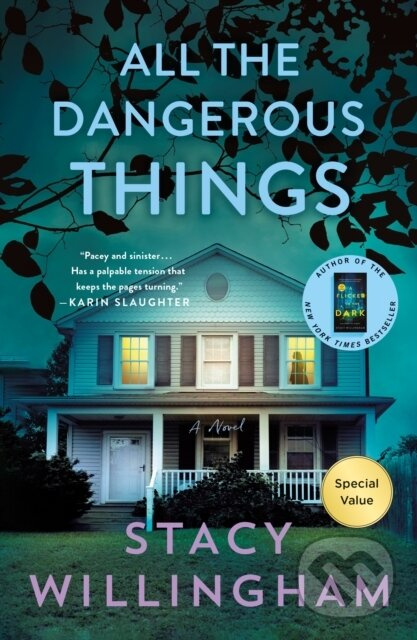 All the Dangerous Things (A Novel) - Stacy Willingham - kniha z kategorie Beletria