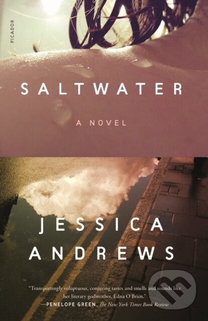 Saltwater (A Novel) - Jessica Andrews - kniha z kategorie Spoločenská beletria