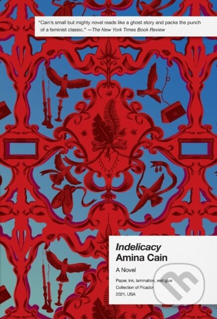 Indelicacy (A Novel) - Amina Cain - kniha z kategorie Společenská beletrie