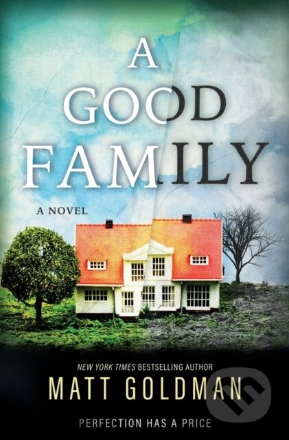 A Good Family (A Novel) - Matt Goldman - kniha z kategorie Thrillery