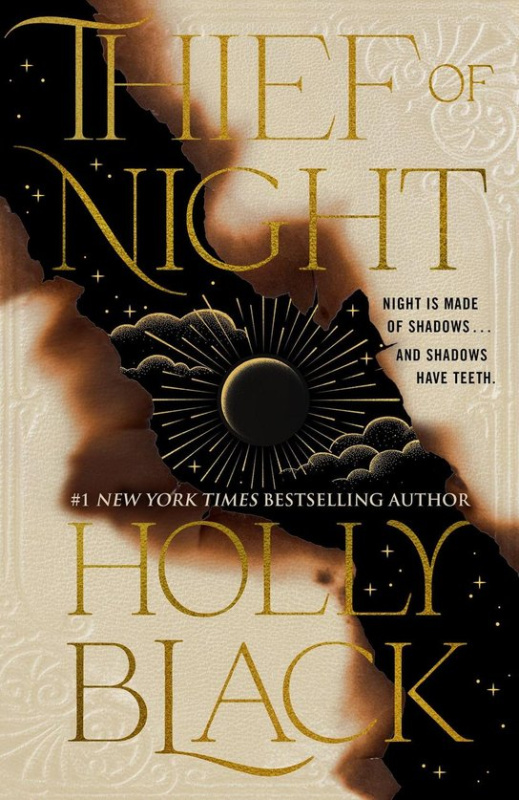 Thief of Night -  Holly Black