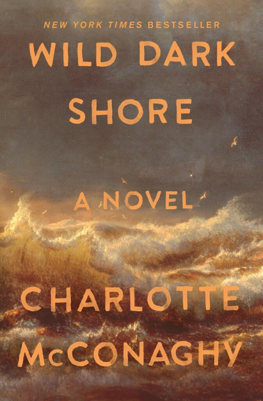 Wild Dark Shore - Charlotte McConaghy - kniha z kategorie Thrillery