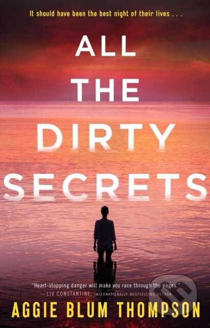 All the Dirty Secrets - Aggie Blum Thompson