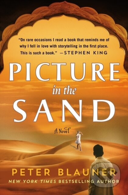Picture in the Sand (A Novel) - Peter Blauner