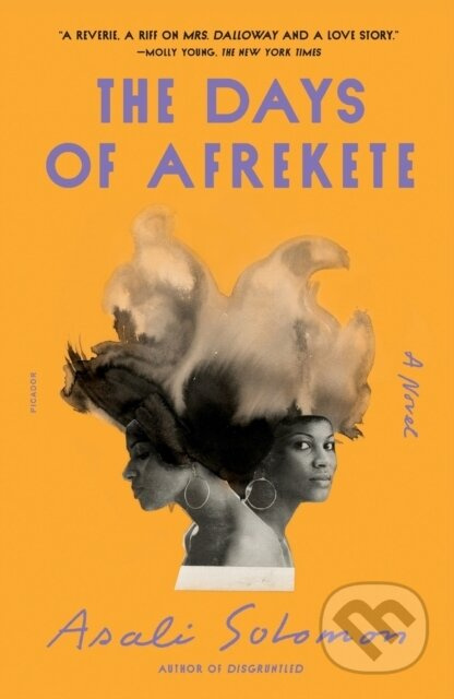 The Days of Afrekete (A Novel) - Asali Solomon