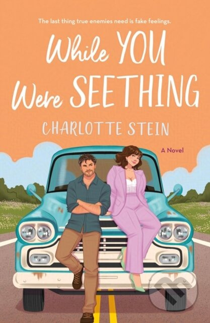 While You Were Seething (A Novel) - Charlotte Stein