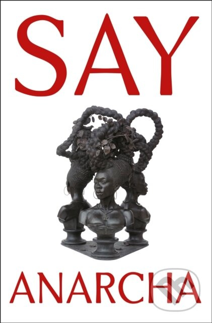Say Anarcha (A Young Woman, a Devious Surgeon, and the Harrowing Birth of Modern Women's Health) - kniha z kategorie Historie