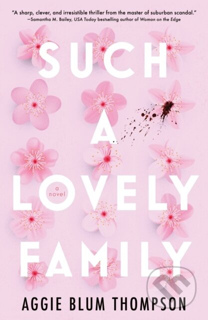Such a Lovely Family - Aggie Blum Thompson - kniha z kategorie Thrillery