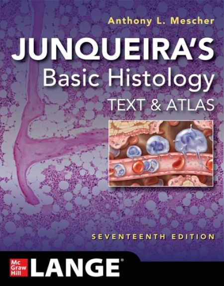 Junqueiras Basic Histology: Text and Atlas, Seventeenth Edition McGraw-Hill Education