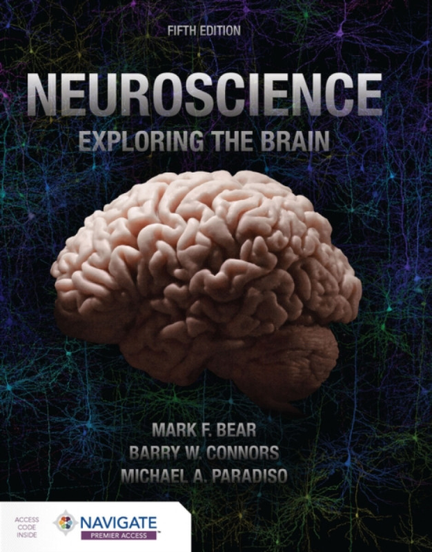 Jones and Bartlett Publishers, Inc Neuroscience: Exploring the Brain - Bear, Mark a Connors, Barry a Paradiso, Michael A.