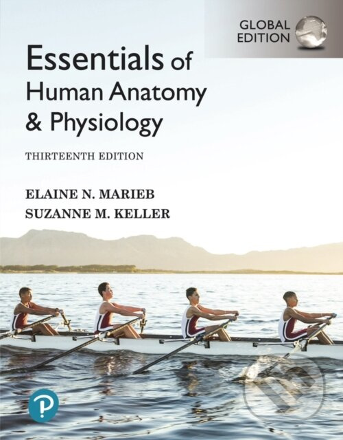 Essentials of Human Anatomy & Physiology, Global Edition - kniha z kategorie Medicína