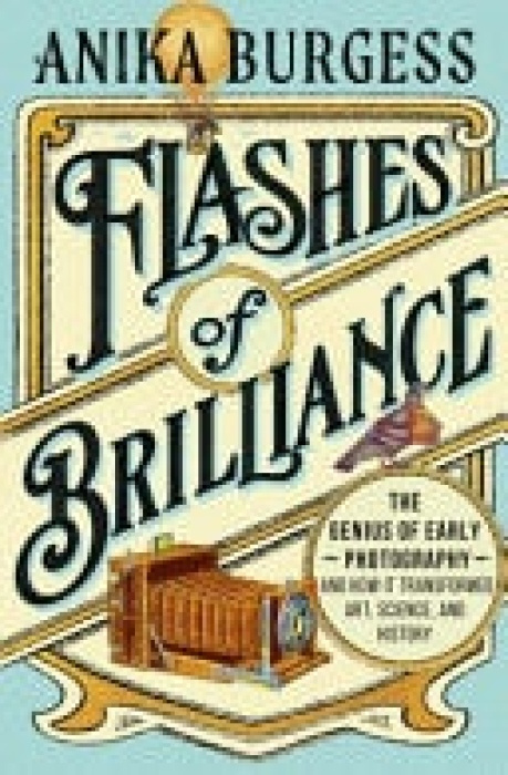 WW Norton & Co Flashes of Brilliance - Burgess, Anika