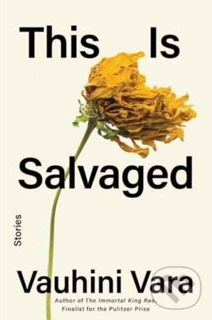 This Is Salvaged (Stories) - Vauhini Vara - kniha z kategorie Spoločenská beletria