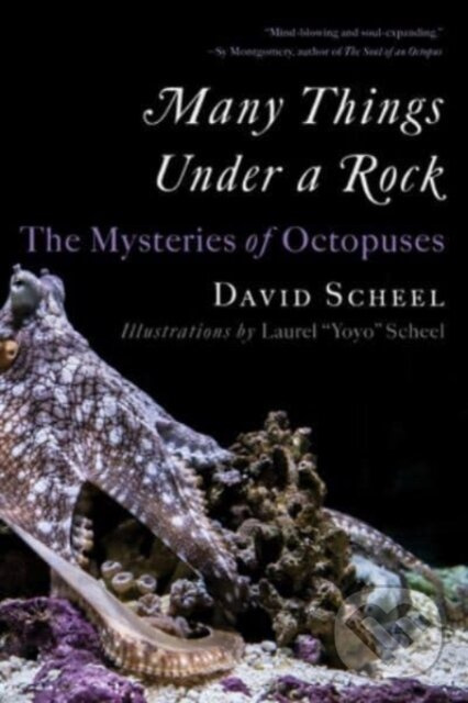 Many Things Under a Rock (The Mysteries of Octopuses) - kniha z kategorie Chov zvierat