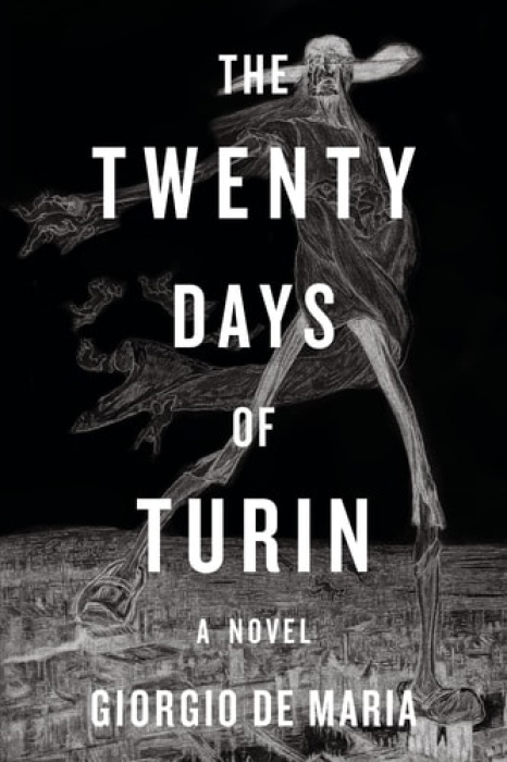 W W Norton & Co Ltd Twenty Days of Turin - De Maria, Giorgio