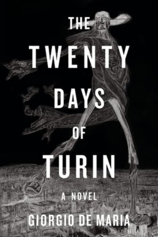 W W Norton & Co Ltd Twenty Days of Turin - De Maria, Giorgio