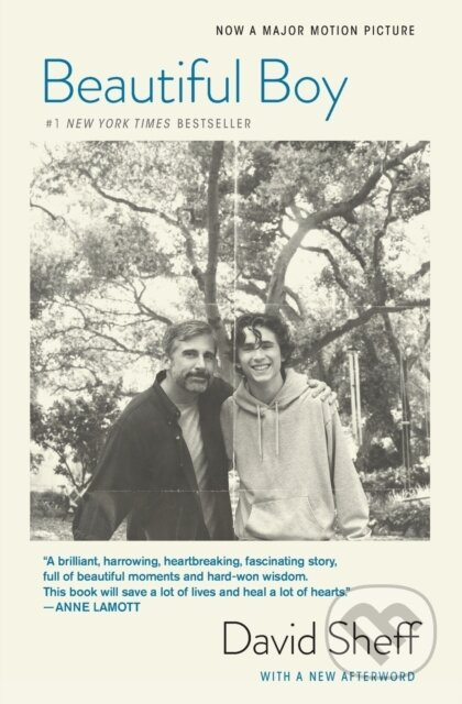 Beautiful Boy (A Father's Journey Through His Son's Addiction (tie-In)) - kniha z kategorie Autobiografie