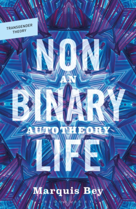 Bloomsbury Publishing PLC Nonbinary Life - Bey, Professor Marquis