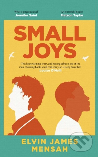 Small Joys (A Buzzfeed 'Amazing New Book You Need to Read ASAP') - kniha z kategorie Společenská beletrie