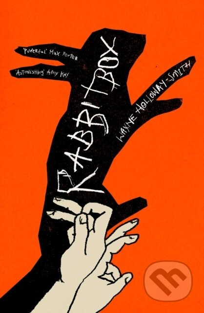 RABBITBOX - Wayne Holloway-Smith - kniha z kategorie Beletrie